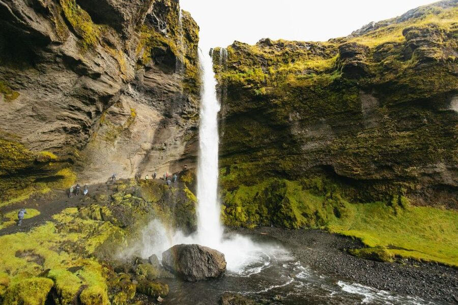 From Reykjavík: Waterfalls, Black Beach & Glacier Day Trip - The guide can shape the whole day