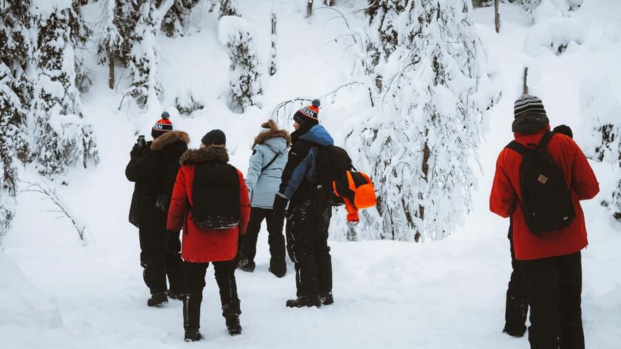 From Rovaniemi: Korouoma & Auttiköngäs Frozen Waterfalls - Is $153 a fair price?