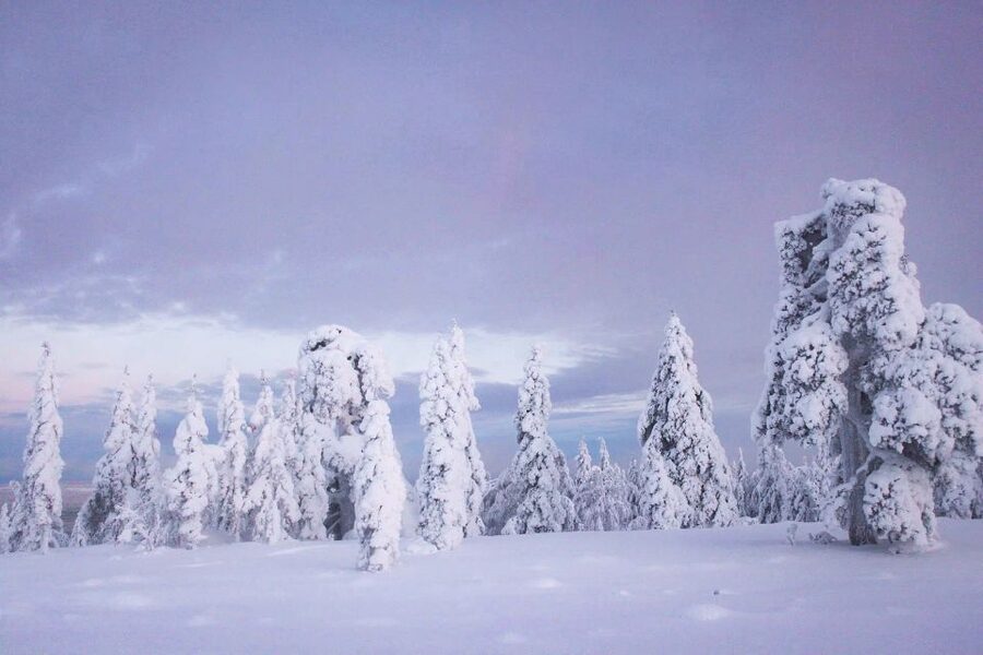 From Rovaniemi: Korouoma Canyon and Frozen Waterfalls Tour - Four hours among cliffs, rapids, and ice