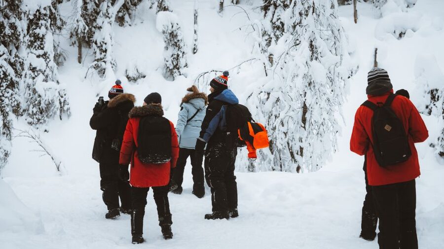 From Rovaniemi: Korouoma Canyon and Frozen Waterfalls Tour - The campfire is simple, warm, and welcome