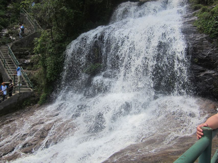 From Sapa: Waterfalls, Trekking and Tribal Villages Tour - Rice paddies, cornfields, and bamboo forest