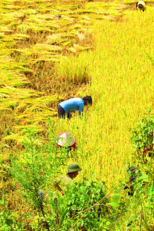 From Sapa: Waterfalls, Trekking and Tribal Villages Tour - Silver Waterfall and Love Waterfall