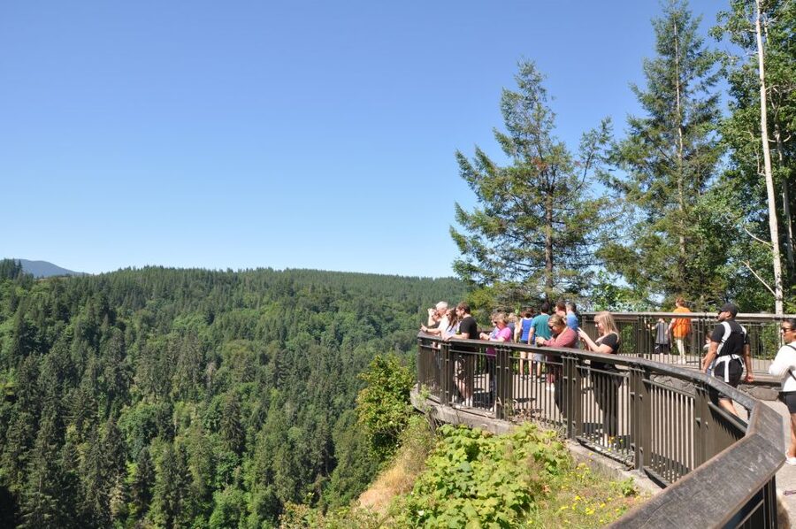 From Seattle: Snoqualmie Falls and Wineries Tour w/ Transfer - Woodinville wineries, whisky, and lunch