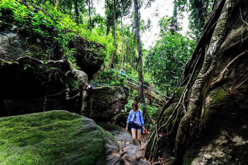 From Siem Reap: Small-Group Phnom Kulen Waterfall Day Tour - Who will enjoy this six-hour outing
