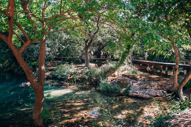 From Split: Krka Waterfalls, Food & Wine Tasting Tour - Sladic Winery in Plastovo