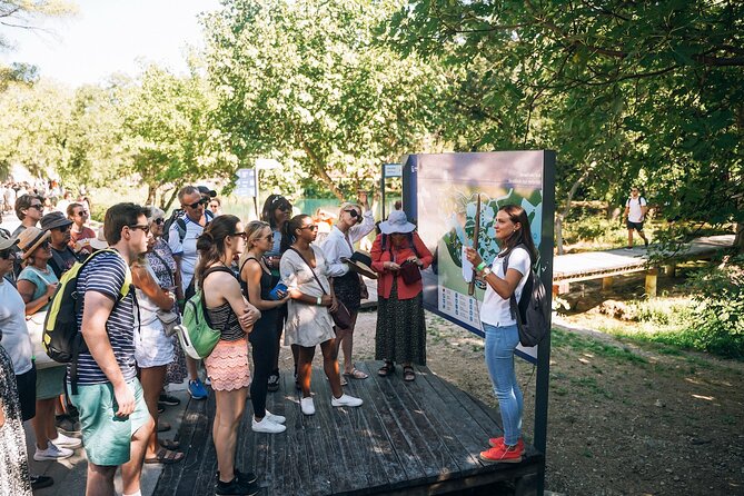 From Split: Krka Waterfalls, Food & Wine Tasting Tour - Timing, group size, and comfort