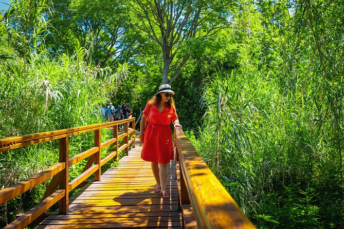 From Split: Krka Waterfalls Tour - Who Should Book This Day Out