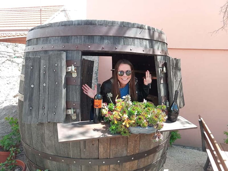 From Split: Krka Waterfalls with Wine & Cheese Tasting Tour - The road from Split to Krka