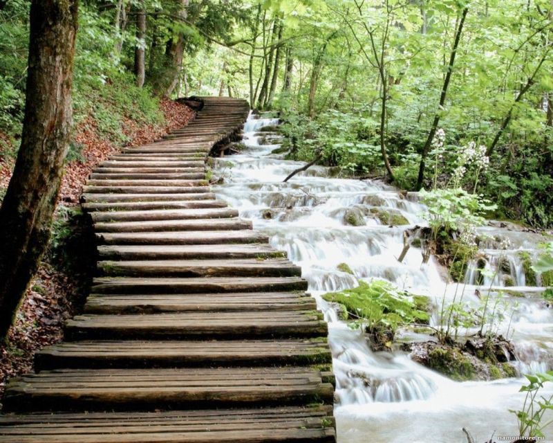 From Split or Trogir: Plitvice Lakes Guided Tour - The 20-minute boat ride on Kozjak Lake
