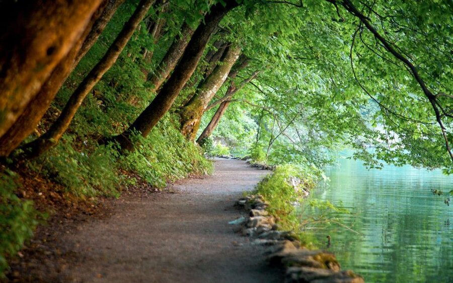 From Split or Trogir: Plitvice Lakes Guided Tour - The early bus ride from Split or Trogir