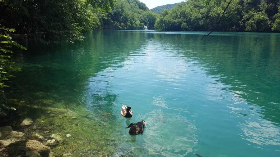 From Split or Trogir: Plitvice Lakes Trip with Entry Ticket - Crowds, seasons, and the best expectations