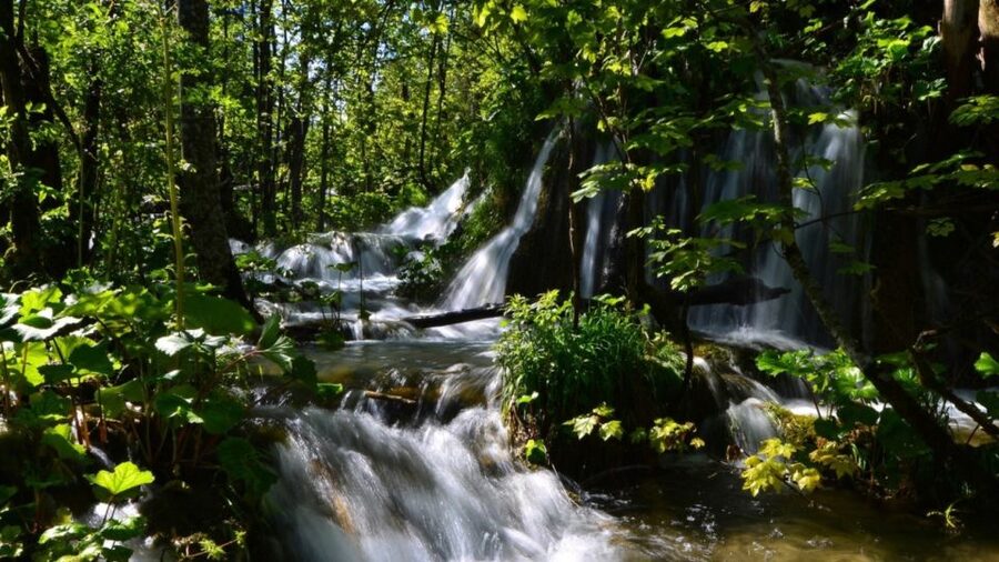 From Split or Trogir: Plitvice Lakes Trip with Entry Ticket - Four hours among the waterfalls