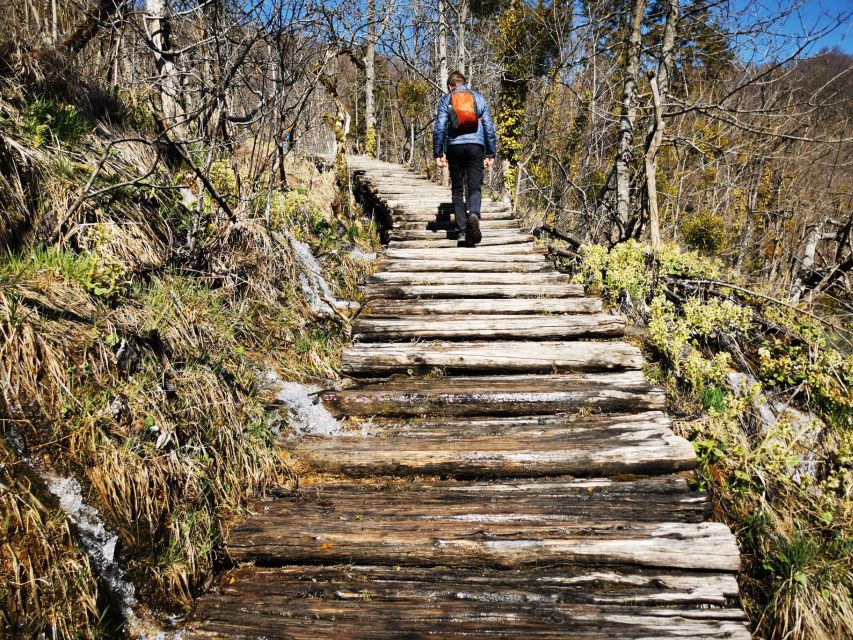 From Split: Plitvice Lakes Full-Day Trip - Four hours among the lower and upper lakes