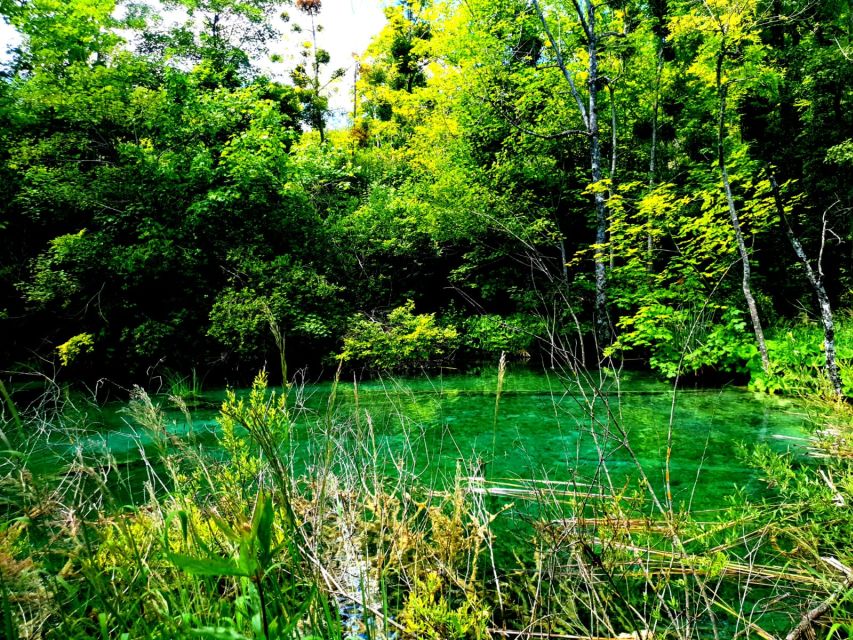 From Split: Plitvice Lakes Full-Day Trip - The Great Waterfall and the lower lakes