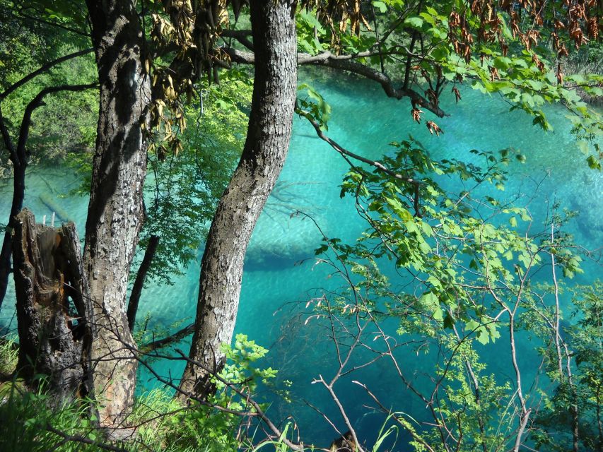 From Split: Plitvice Lakes Full-Day Trip - Upper lakes, bridges, and time to explore