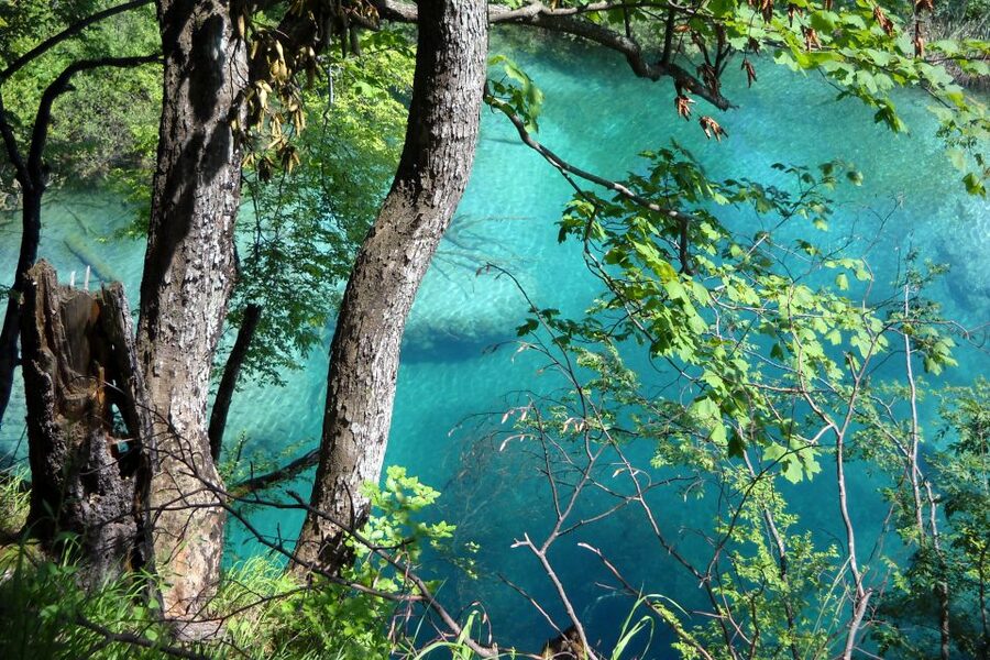 From Split: Plitvice Lakes Fully-Guided Day Tour - Key points to know before you book
