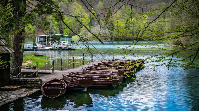 From Split: Plitvice Lakes Guided tour - The bus ride through Dalmatia and Lika
