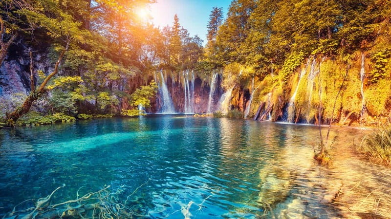 From Split: Plitvice Lakes Guided tour - Lower Lakes and Veliki Slap