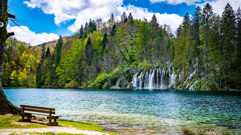 From Split: Plitvice Lakes Guided tour - Four and a half hours inside the national park