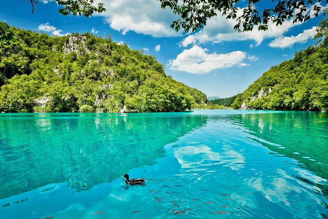 From Split: Plitvice Lakes National Park Guided Tour - Walking Ability, Weather, and What to Pack