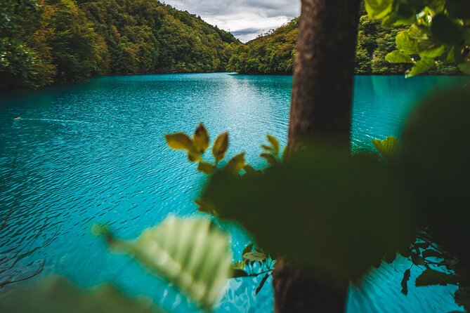 From Split: Plitvice Lakes - Private tour - The Upper Lakes: woodland, water, and a gentler rhythm