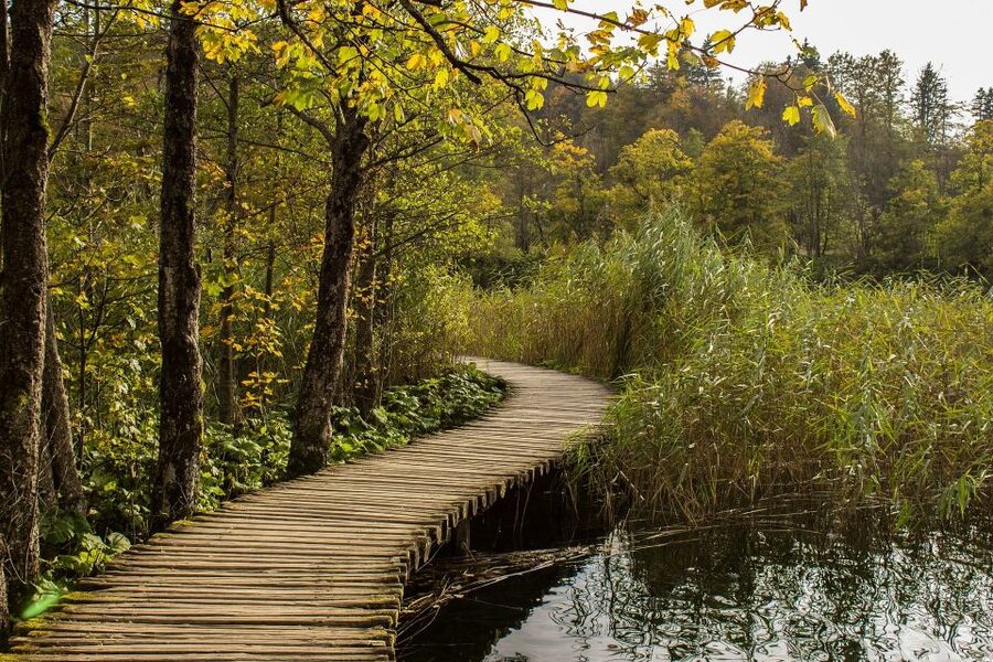 From Split: Private Tour to Plitvice Lakes National Park - A guide who adds more than directions