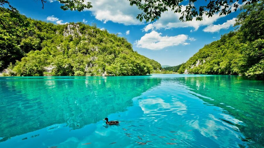 From Split: Transfer to Zagreb with Stop at Plitvice Lakes - Who should book this experience?