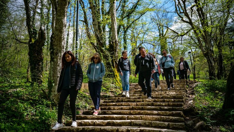 From Split/Trogir/Omiš: Plitvice Lakes Guided Group Tour - Who should book this Plitvice tour?