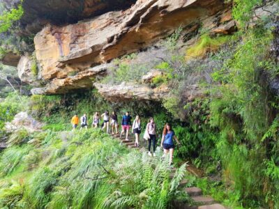 From Sydney: Blue Mountains Tour with Waterfall Walk & Lunch