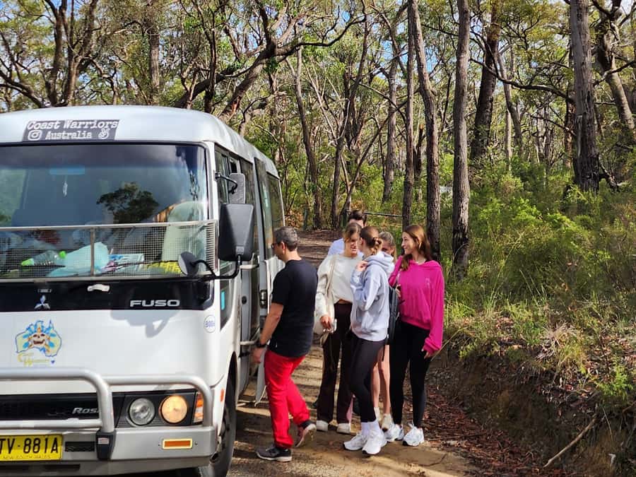 From Sydney: Blue Mountains Tour with Waterfall Walk & Lunch - Weather, clouds, and changing views