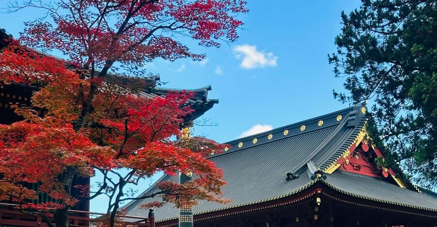 From Tokyo: Nikko Customize private Tour With English Driver - Key points to know before booking