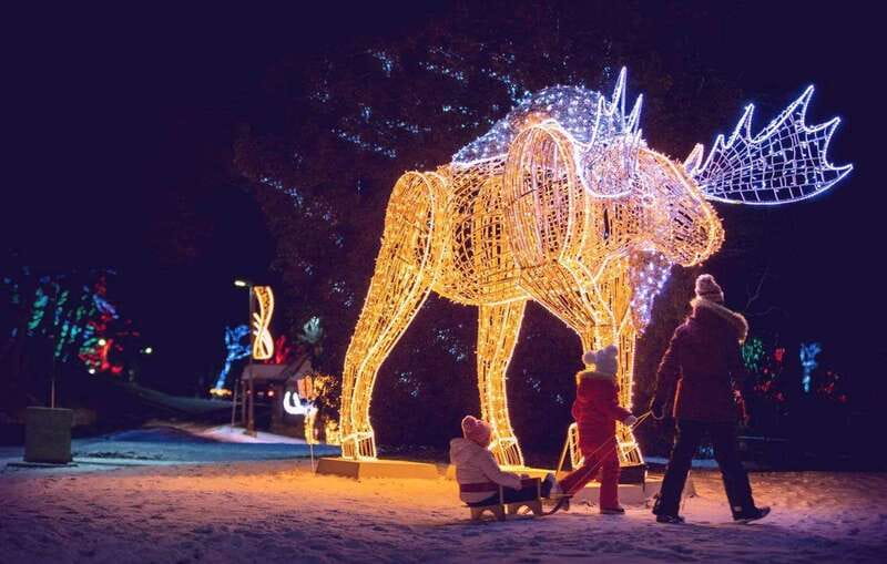 From Toronto: Winter Festival of Lights Niagara Falls Tour - Seeing Niagara Falls before the lights come on