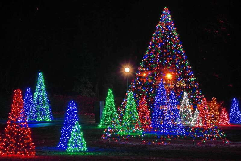From Toronto: Winter Festival of Lights Niagara Falls Tour - Useful planning advice before you reserve