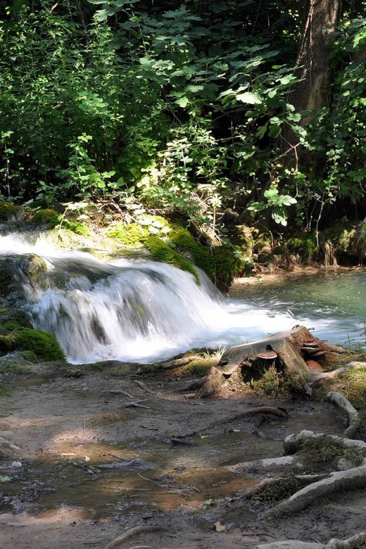 From Trogir, Seget & Okrug: Krka Waterfalls Gastro Tour - The Krka River boat to Skradin