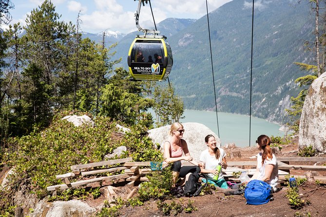 From Vancouver: Whistler & Sea to Sky Gondola with Shannon Falls - The Sea to Sky Gondola is the day’s highlight