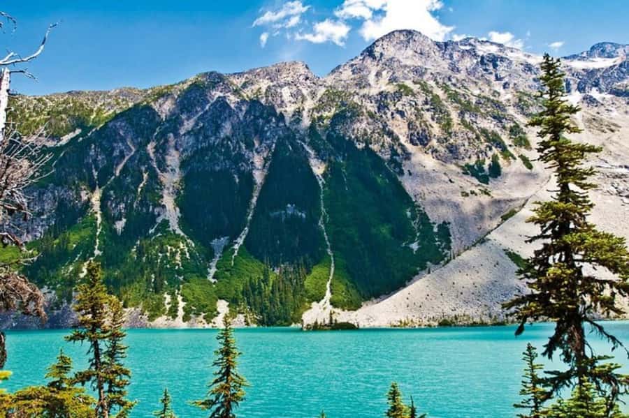 From Vancouver: Whistler Tour with Shannon Falls and Gondola - Three hours in Whistler village