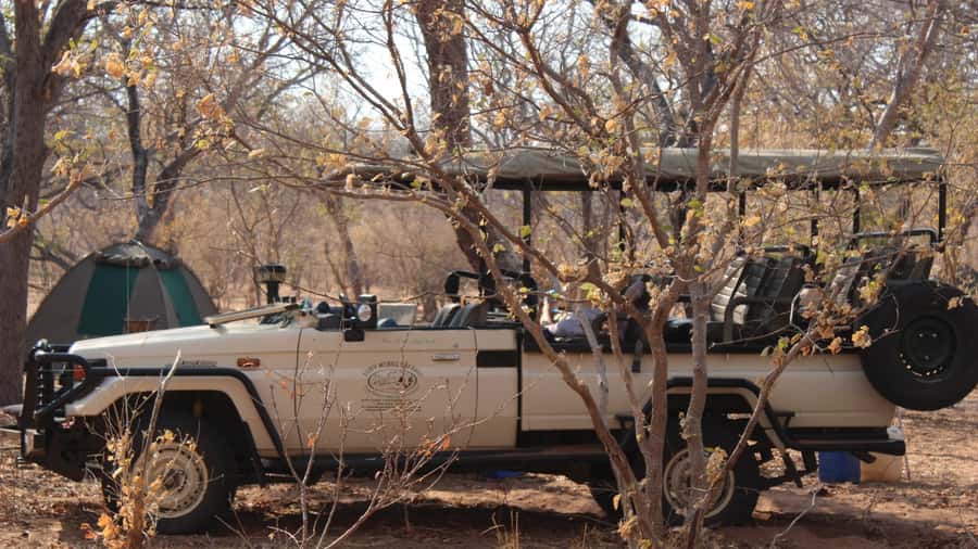 From Victoria Falls: Sunrise to Sunset Chobe Safari - The First Game Drive Through Chobe National Park