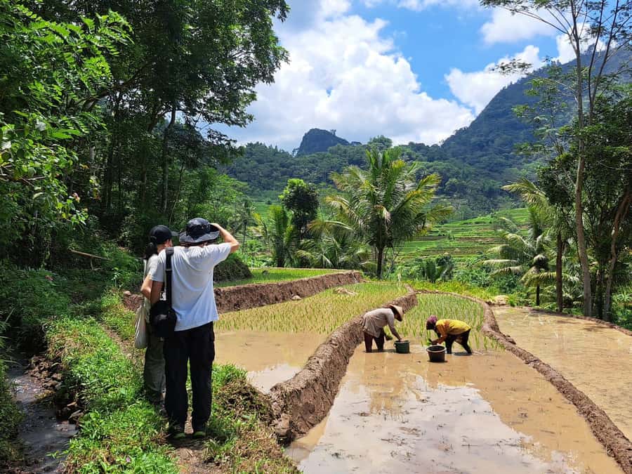 From Yogyakarta: Hidden Waterfall & Selogriyo Rice Terraces - Why this makes a good break from Yogyakarta