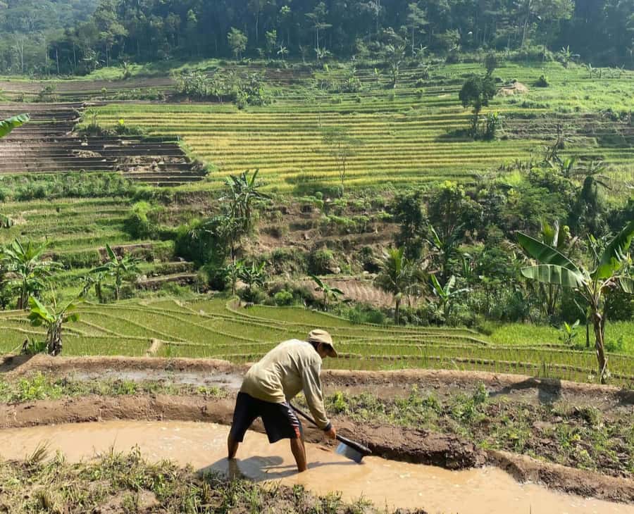 From Yogyakarta: Hidden Waterfall & Selogriyo Rice Terraces - Is $43 good value?