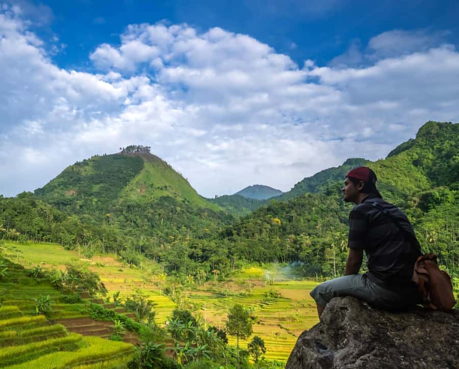 From Yogyakarta: Hidden Waterfall & Selogriyo Rice Terraces - Starting with Selogriyo’s rice terraces