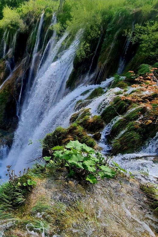 From Zadar: Plitvice Lakes Day Trip with Guide and Boat Tour - The Long Road from Zadar to Plitvice Lakes