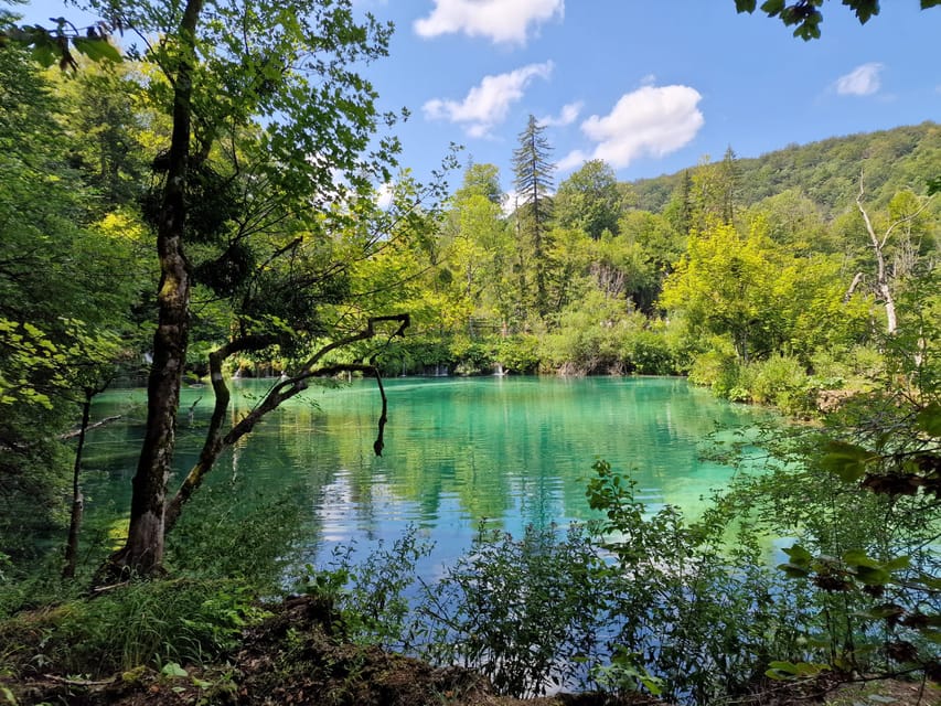From Zadar: Plitvice Lakes Day Trip with Guide and Boat Tour - Choosing Morning or Afternoon