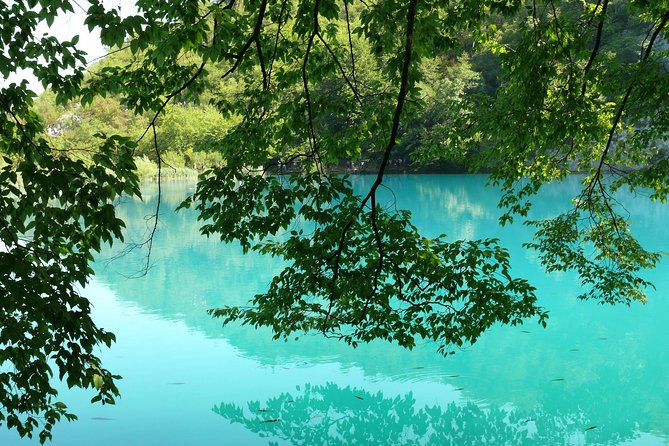 From Zadar: Plitvice Lakes with Boat Ride & Zadar Old town tour - Who should book this day trip