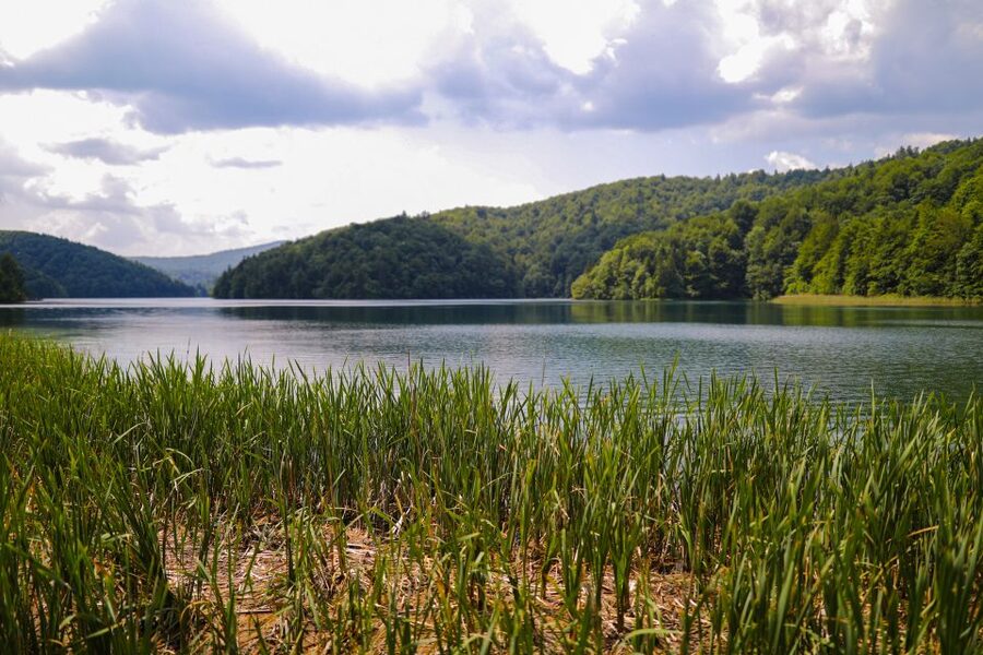 From Zadar: Round-Trip Transfer to Plitvice Lakes - Should you book the Zadar to Plitvice transfer?