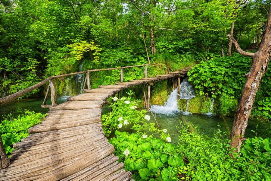 From Zagreb: Plitvice Lakes & Rastoke Private Tour - Waterfalls, the 78-meter drop, and the park’s changing light