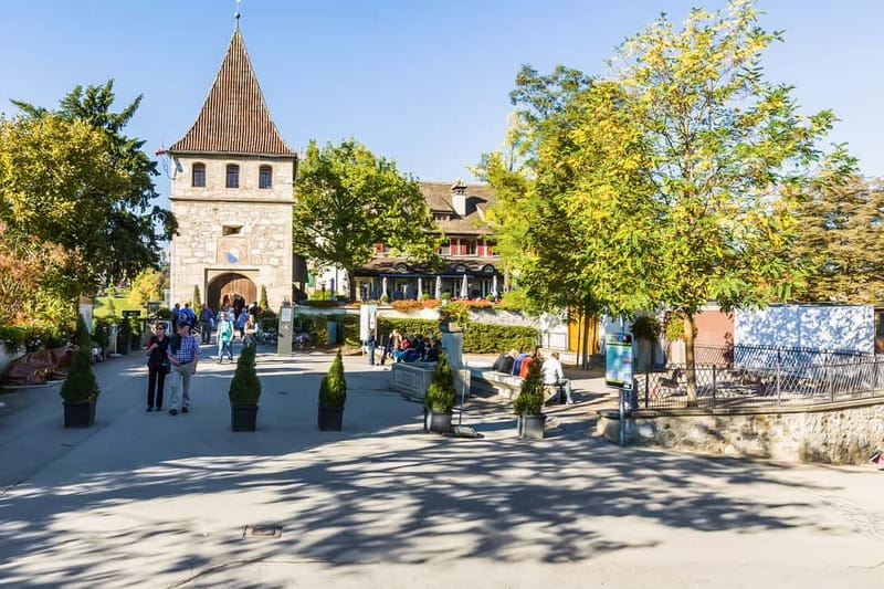 From Zurich: Rhine Falls Coach Tour with Entry Tickets - Who should book this Rhine Falls trip?