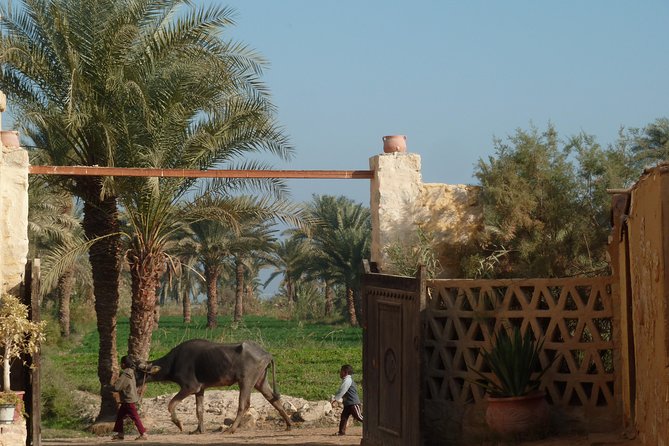 Full-Day Fayoum Oasis and Waterfalls of Wadi El-Rayan Tour from Cairo - Price, value, and possible extra charges