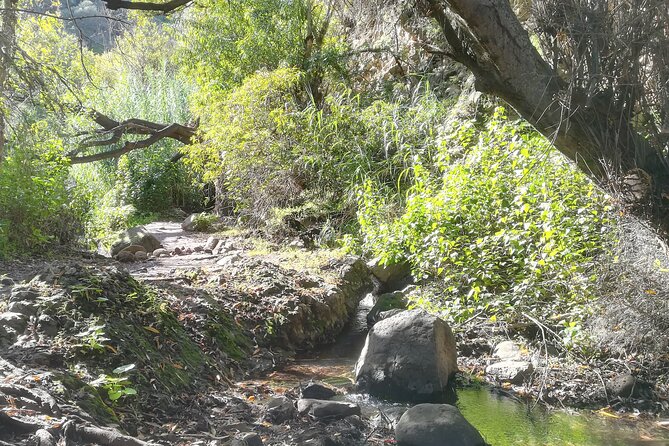 Full day Hiking and Waterfalls Experience - Key points at a glance