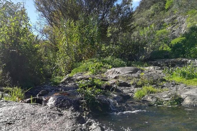 Full day Hiking and Waterfalls Experience - The late lunch and Canarian atmosphere