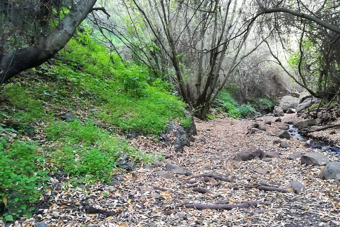 Full day Hiking and Waterfalls Experience - Following the waterfall route